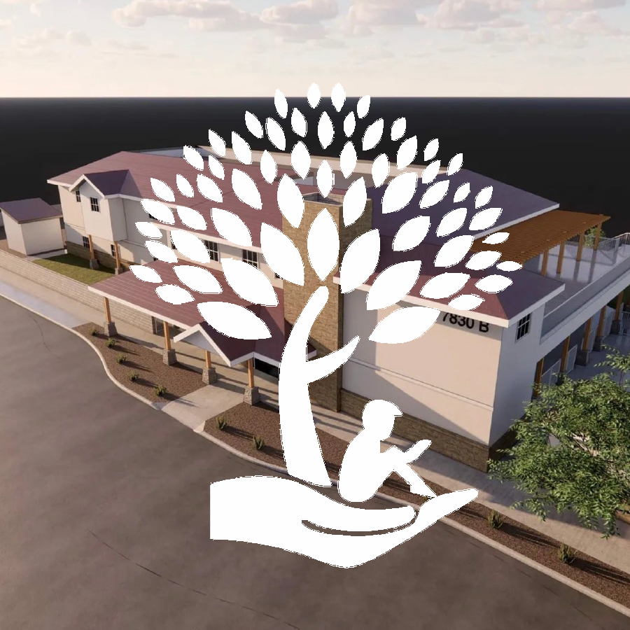shade tree exterior